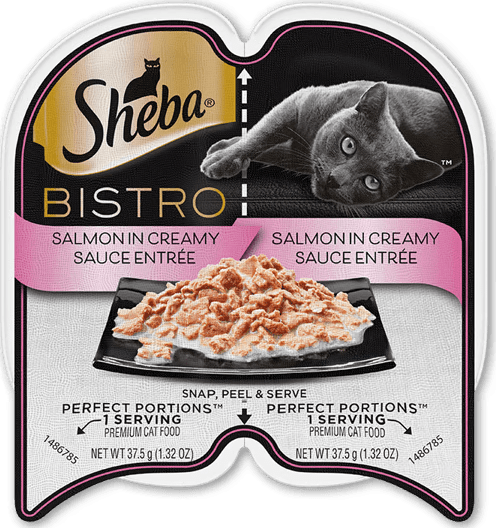 Sheba Bistro Salmon In Creamy Sauce Entrée